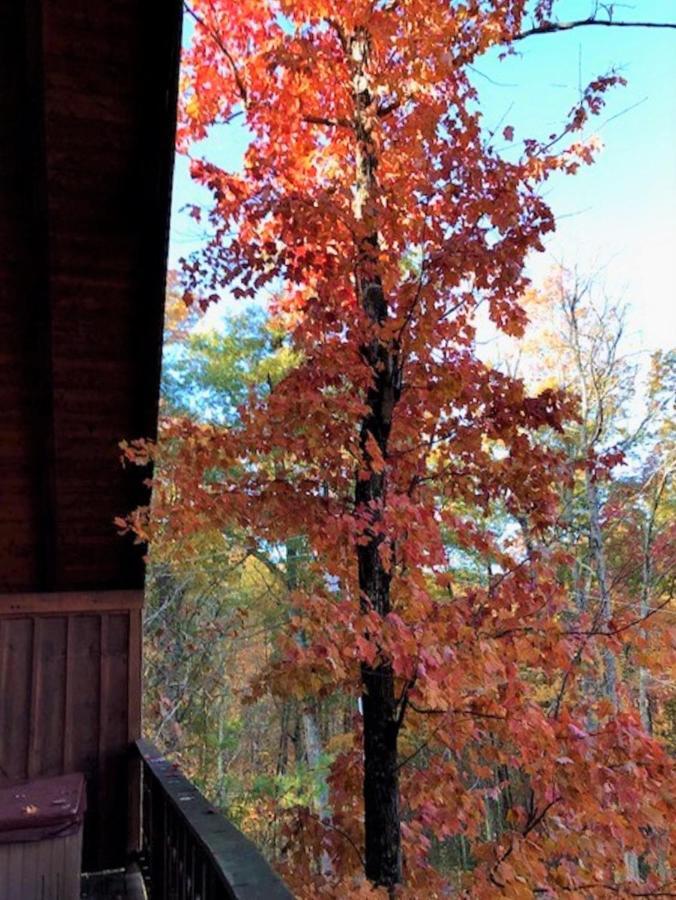 Knotty By Nature Gatlinburg Exterior photo